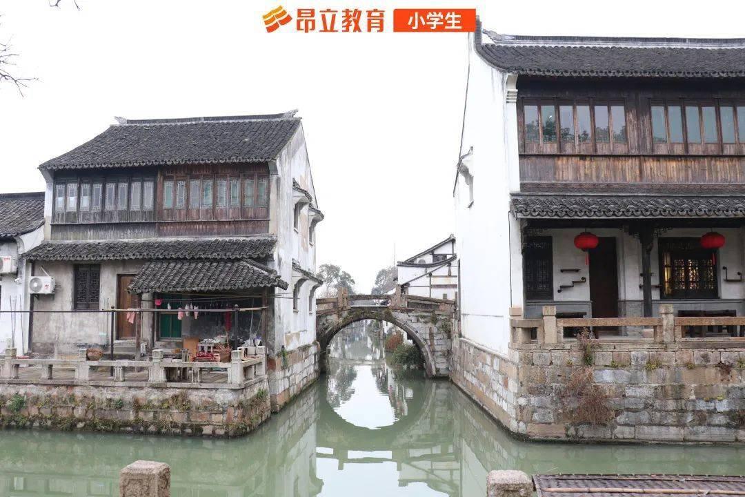 清炖羊肉,别乱放调料,全程只用这5样,原汁原味,鲜美不腥不膻